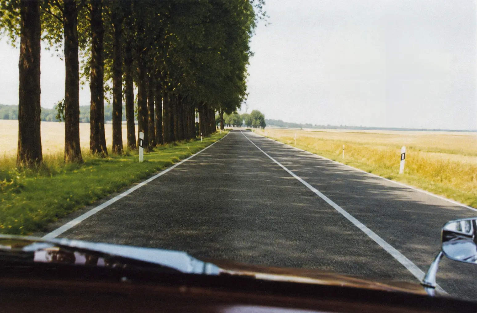 Photo of solid white centre line on road with trees